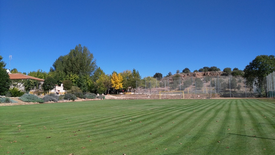 Campo de fútbol 1